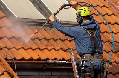 Démoussage et hydrofuge de toiture à Lozay
